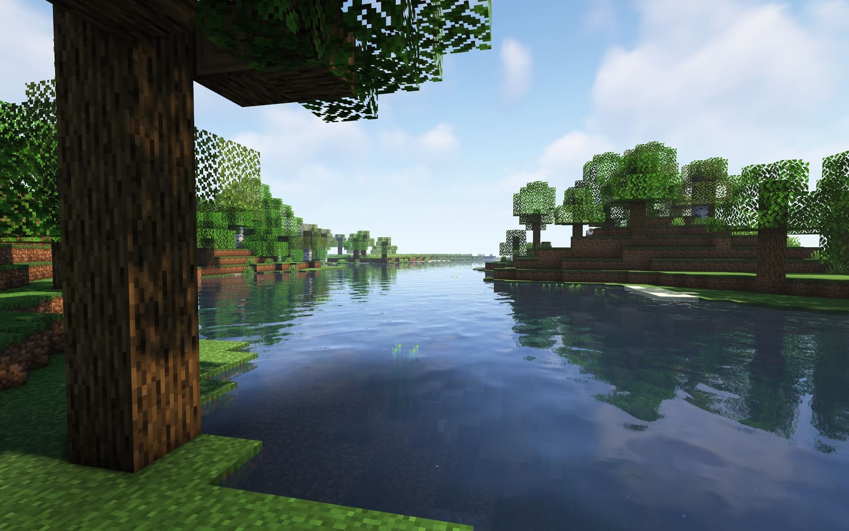 Скриншот максимальных шейдеров клиента EfficientPlus