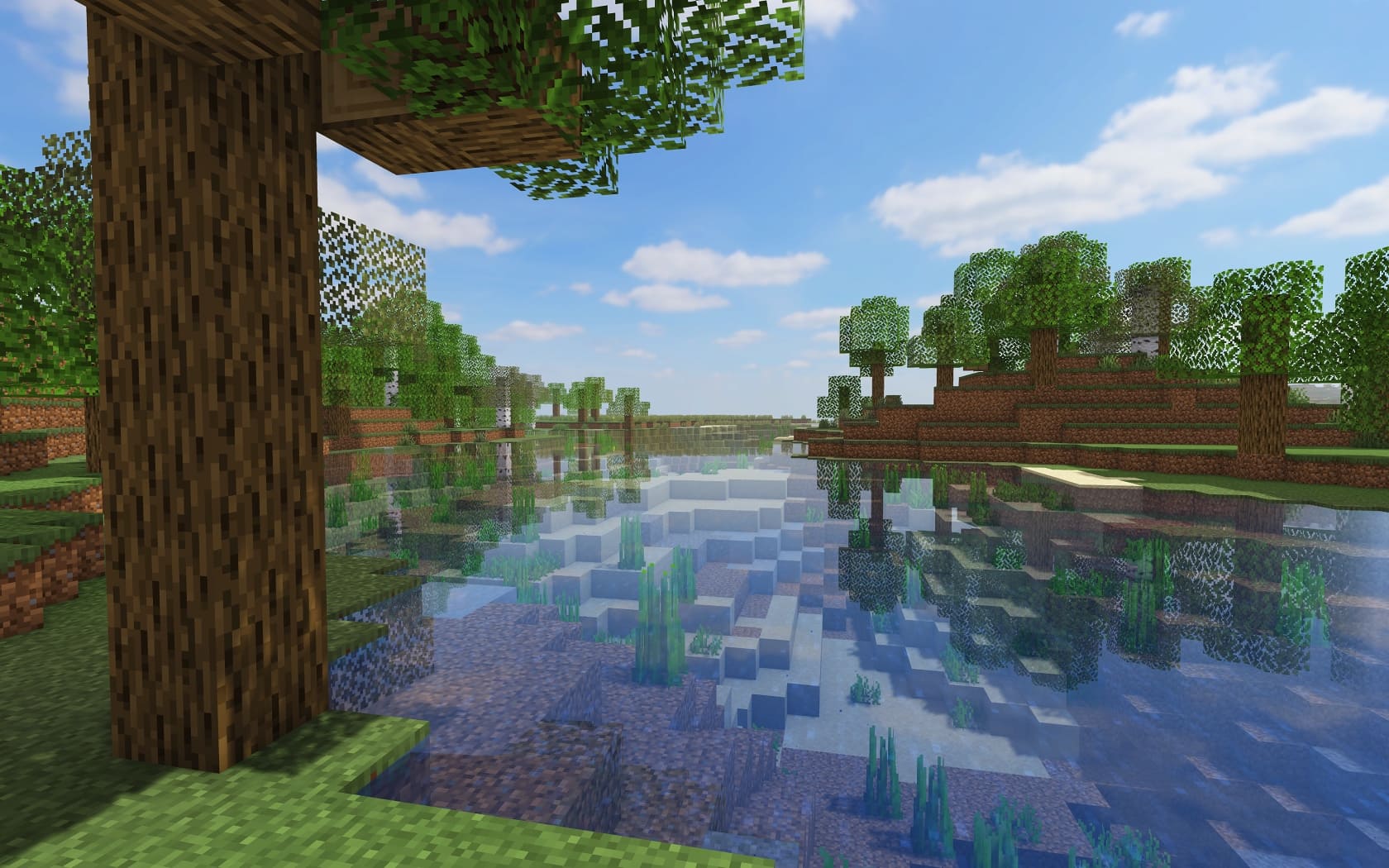 Скриншот средних шейдеров клиента EfficientPlus